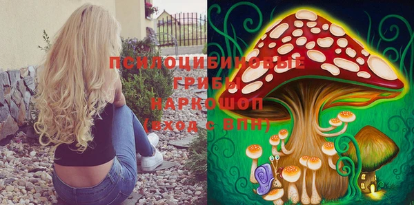 спайс Надым