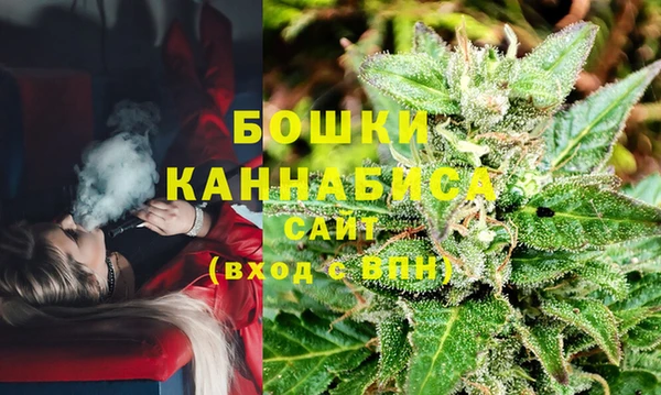 сатива Наволоки