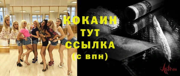 спайс Надым
