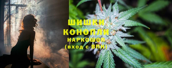сатива Наволоки