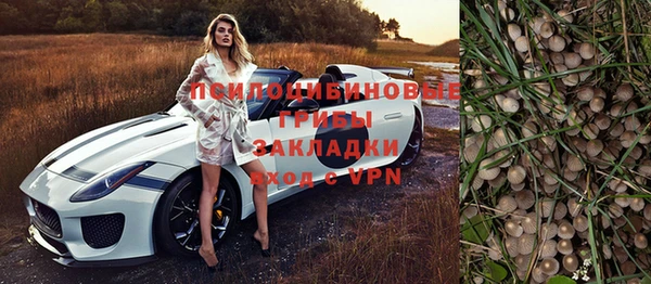 сатива Наволоки